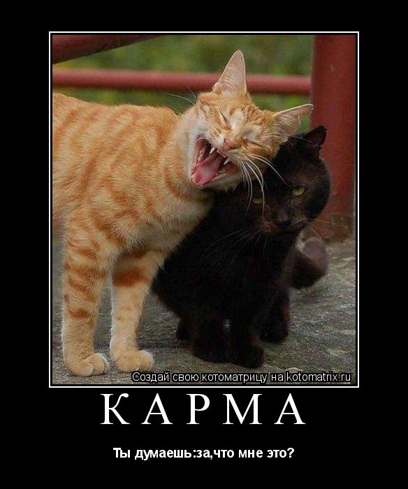 Котоматрица: Карма Ты думаешь:за,что мне это?