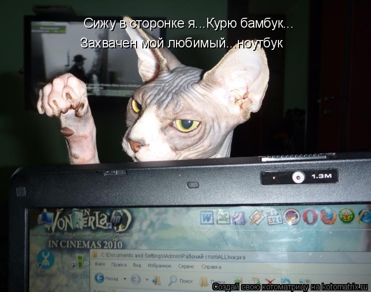 Сижу в сторонке я...Курю бамбук... Захвачен мой любимый...ноутбук... Котоматрица: Сижу в сторонке я...Курю бамбук... Захвачен мой любимый...ноутбук
