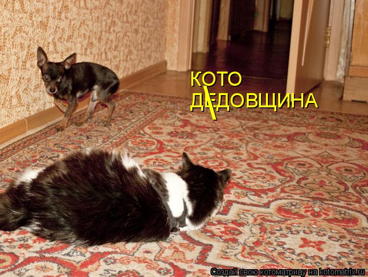 ДЕДОВЩИНА \ КОТО... Котоматрица: ДЕДОВЩИНА \ КОТО