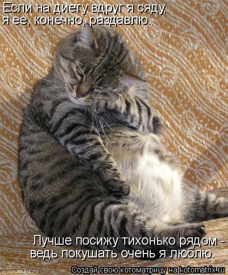 Если на диету вдруг я сяду, я ее, конечно, раздавлю. Лучше посижу тихонько рядом - ведь покушать очен... Котоматрица: Если на диету вдруг я сяду, я ее, конечно, раздавлю. Лучше посижу тихонько рядом - ведь покушать очень я люблю.