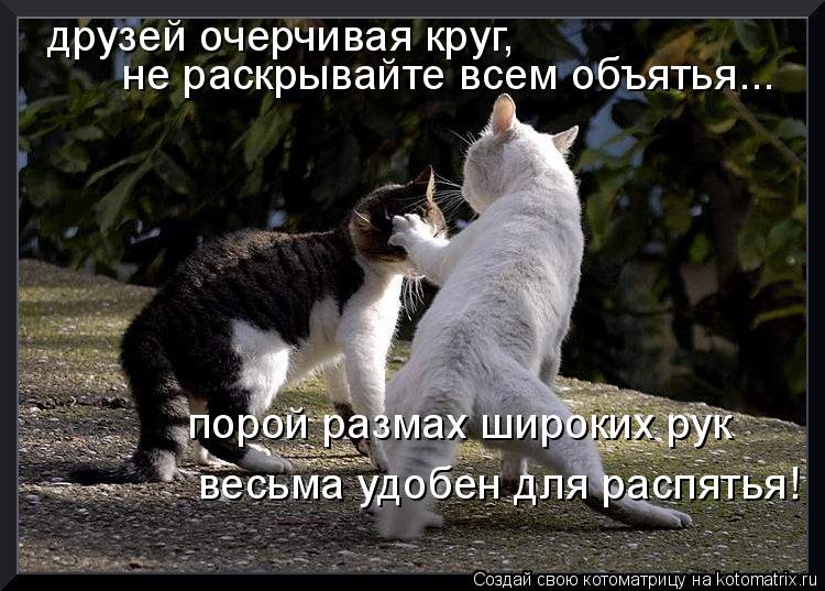 друзей очерчивая круг, не раскрывайте всем объятья... порой размах широких рук весьма удобен для ра... Котоматрица: друзей очерчивая круг, не раскрывайте всем объятья... порой размах широких рук весьма удобен для распятья!