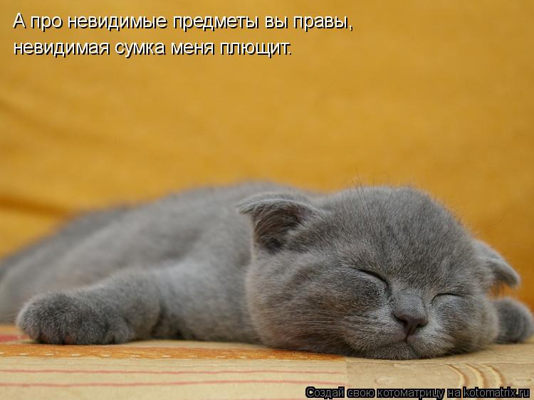 А про невидимые предметы вы правы, невидимая сумка меня плющит.... Котоматрица: А про невидимые предметы вы правы, невидимая сумка меня плющит.