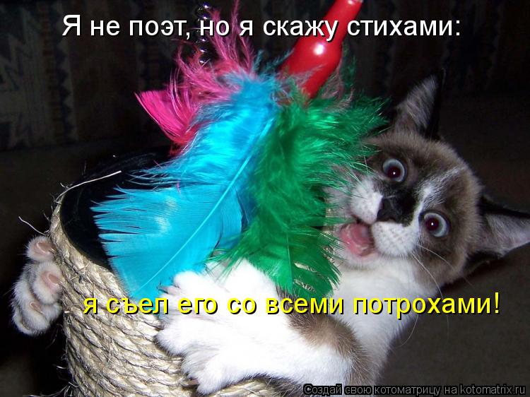 Котоматрица: Я не поэт, но я скажу стихами: я съел его со всеми потрохами!