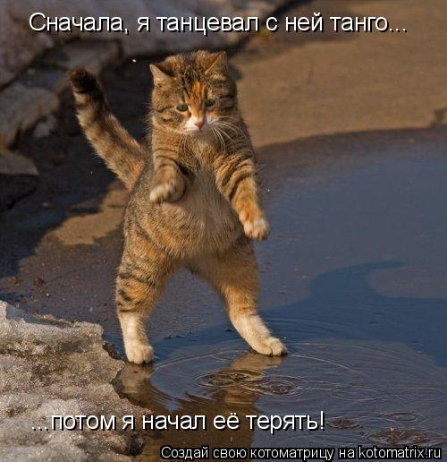 Сначала, я танцевал с ней танго... ...потом я начал её терять!... Котоматрица: Сначала, я танцевал с ней танго... ...потом я начал её терять!