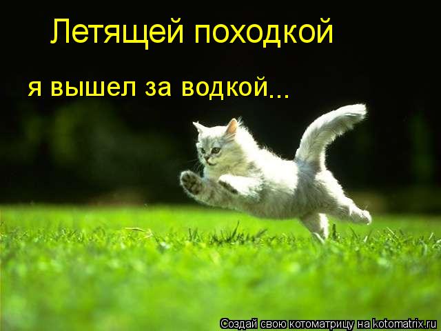 Летящей походкой я вышел за водкой ...... Котоматрица: Летящей походкой я вышел за водкой ...