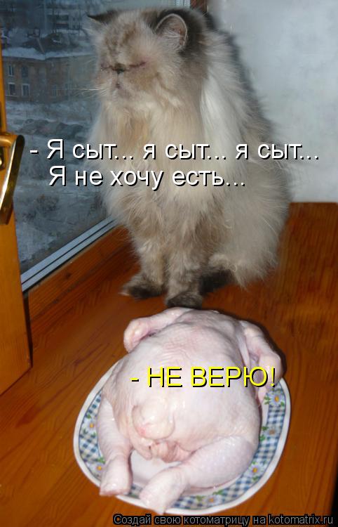 - Я сыт... я сыт... я сыт... Я не хочу есть... - НЕ ВЕРЮ!... Котоматрица: - Я сыт... я сыт... я сыт... Я не хочу есть... - НЕ ВЕРЮ!