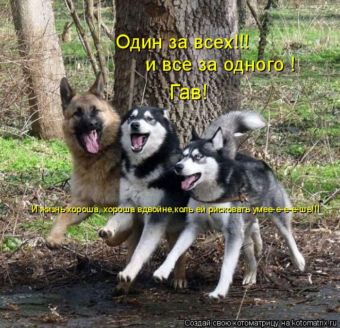 и все за одного ! Один за всех!!! И жизнь хороша, хороша вдвойне,коль ей рисковать умее-е-е-е-шь!!! Г... Котоматрица: и все за одного ! Один за всех!!! И жизнь хороша, хороша вдвойне,коль ей рисковать умее-е-е-е-шь!!! Гав!