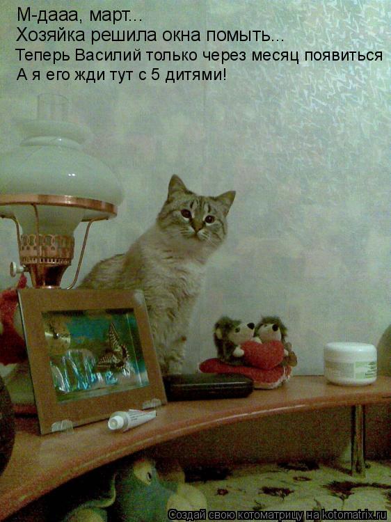 М-дааа, март... Хозяйка решила окна помыть... Теперь Василий только через месяц появиться А я его жди... Котоматрица: М-дааа, март... Хозяйка решила окна помыть... Теперь Василий только через месяц появиться А я его жди тут с 5 дитями!