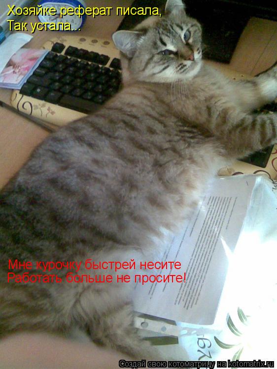 Хозяйке реферат писала, Так устала... Мне курочку быстрей несите Работать больше не просите!... Котоматрица: Хозяйке реферат писала, Так устала... Мне курочку быстрей несите Работать больше не просите!