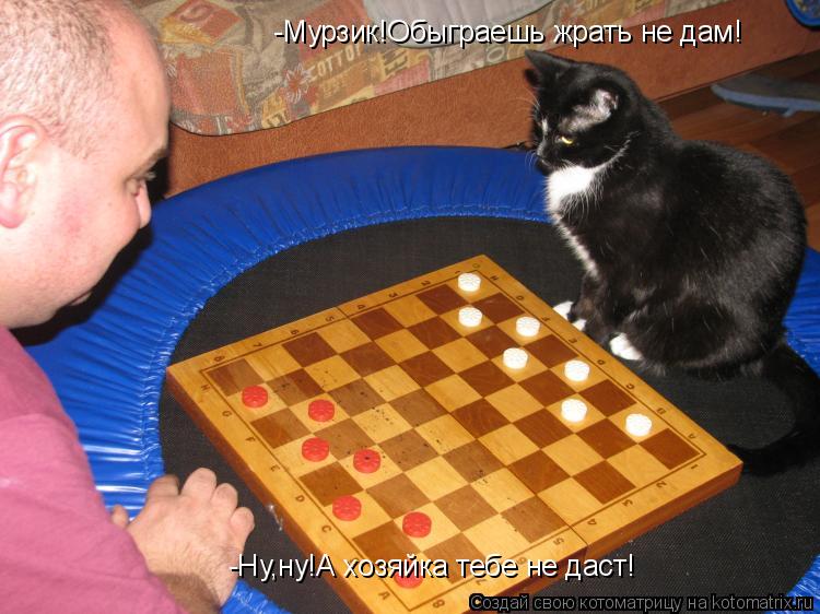 -Мурзик!Обыграешь жрать не дам! -Ну,ну!А хозяйка тебе не даст!... Котоматрица: -Мурзик!Обыграешь жрать не дам! -Ну,ну!А хозяйка тебе не даст!