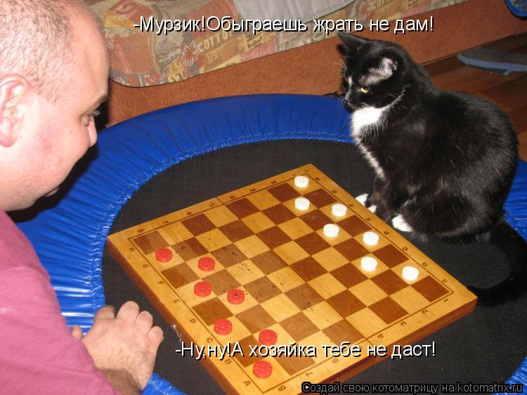 Котоматрица: -Мурзик!Обыграешь жрать не дам! -Ну,ну!А хозяйка тебе не даст!
