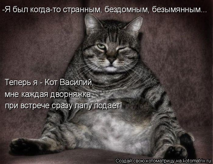 Котоматрица: Теперь я - Кот Василий, мне каждая дворняжка при встрече сразу лапу подаёт! -Я был когда-то странным, бездомным, безымянным...