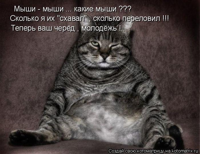 Мыши - мыши ... какие мыши ??? Сколько я их "схавал" , сколько переловил !!! Теперь ваш черёд , молод... Котоматрица: Мыши - мыши ... какие мыши ??? Сколько я их "схавал" , сколько переловил !!! Теперь ваш черёд , молодёжь !..
