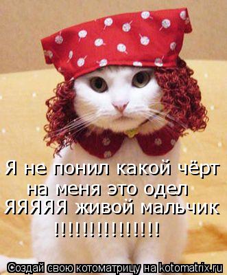 Я не понил какой чёрт на меня это одел ЯЯЯЯЯ живой мальчик !!!!!!!!!!!!!!!... Котоматрица: Я не понил какой чёрт на меня это одел ЯЯЯЯЯ живой мальчик !!!!!!!!!!!!!!!