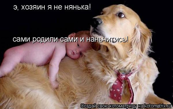 э, хозяин я не нянька! сами родили сами и наньчитись!... Котоматрица: э, хозяин я не нянька! сами родили сами и наньчитись!
