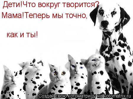 Дети!Что вокруг творится? Мама!Теперь мы точно, как и ты!... Котоматрица: Дети!Что вокруг творится? Мама!Теперь мы точно, как и ты!