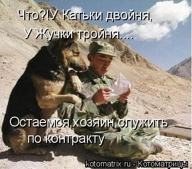 Что?!У Катьки двойня, У Жучки тройня.... Остаемся,хозяин,служить по контракту... Котоматрица: Что?!У Катьки двойня, У Жучки тройня.... Остаемся,хозяин,служить по контракту