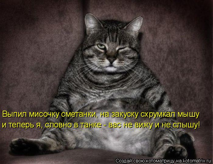 Выпил мисочку сметанки, на закуску схрумкал мышу и теперь я, словно в танке - вас не вижу и не слышу... Котоматрица: Выпил мисочку сметанки, на закуску схрумкал мышу и теперь я, словно в танке - вас не вижу и не слышу!