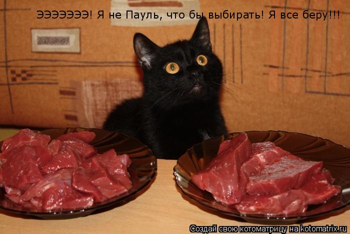 ЭЭЭЭЭЭЭ! Я не Пауль, что бы выбирать! Я все беру!!!... Котоматрица: ЭЭЭЭЭЭЭ! Я не Пауль, что бы выбирать! Я все беру!!!