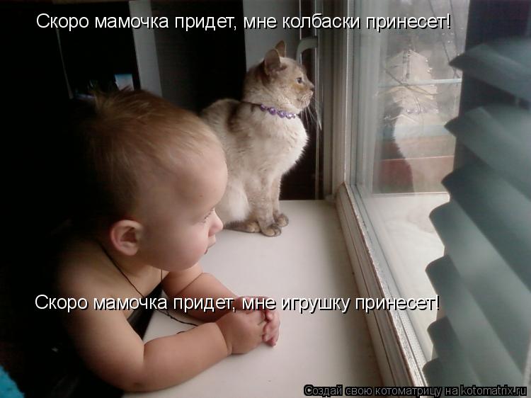 Скоро мамочка придет, мне колбаски принесет! Скоро мамочка придет, мне игрушку принесет!... Котоматрица: Скоро мамочка придет, мне колбаски принесет! Скоро мамочка придет, мне игрушку принесет!