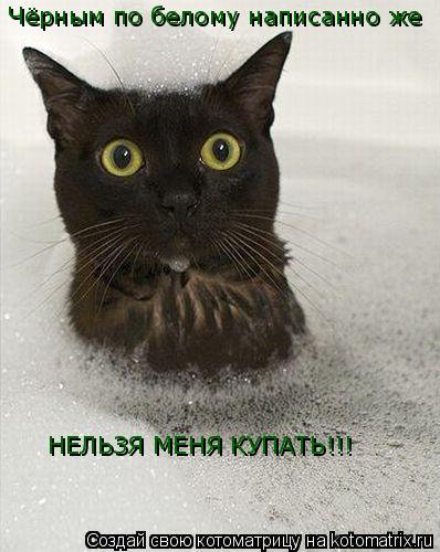 Чёрным по белому написанно же НЕЛЬЗЯ МЕНЯ КУПАТЬ!!!... Котоматрица: Чёрным по белому написанно же НЕЛЬЗЯ МЕНЯ КУПАТЬ!!!