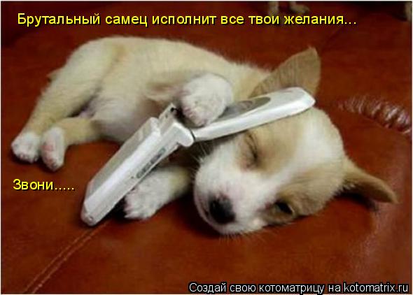 Брутальный самец исполнит все твои желания... Звони........ Котоматрица: Брутальный самец исполнит все твои желания... Звони.....