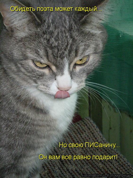 Обидеть поэта может каждый... Но свою ПИСанину... Он вам всё равно подарит!... Котоматрица: Обидеть поэта может каждый... Но свою ПИСанину... Он вам всё равно подарит!