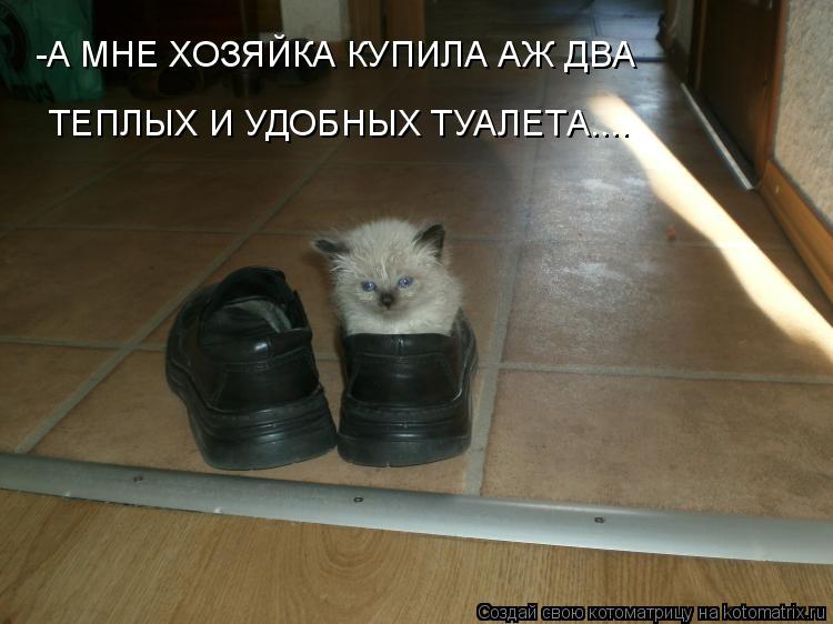 -А МНЕ ХОЗЯЙКА КУПИЛА АЖ ДВА ТЕПЛЫХ И УДОБНЫХ ТУАЛЕТА....... Котоматрица: -А МНЕ ХОЗЯЙКА КУПИЛА АЖ ДВА ТЕПЛЫХ И УДОБНЫХ ТУАЛЕТА....