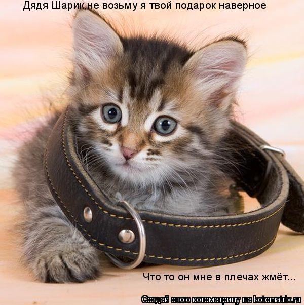 Дядя Шарик,не возьму я твой подарок наверное Что то он мне в плечах жмёт...... Котоматрица: Дядя Шарик,не возьму я твой подарок наверное Что то он мне в плечах жмёт...