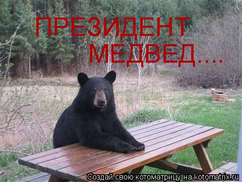 ПРЕЗИДЕНТ МЕДВЕД....... Котоматрица: ПРЕЗИДЕНТ МЕДВЕД....