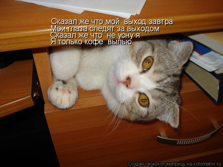 Сказал же что мой выход завтра Мои глаза следят за выходом Сказал же что не усну я Я только кофе... Котоматрица: Сказал же что мой выход завтра Мои глаза следят за выходом Сказал же что не усну я Я только кофе выпью