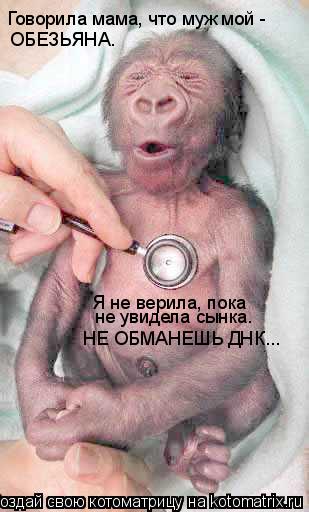 Говорила мама, что муж мой - ОБЕЗЬЯНА. Я не верила, пока не увидела сынка. НЕ ОБМАНЕШЬ ДНК...... Котоматрица: Говорила мама, что муж мой - ОБЕЗЬЯНА. Я не верила, пока не увидела сынка. НЕ ОБМАНЕШЬ ДНК...