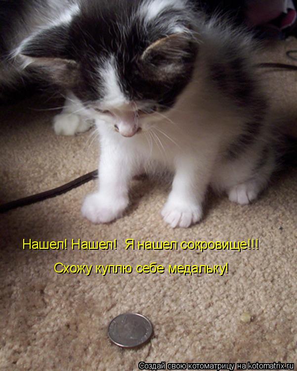 Нашел! Нашел! Я нашел сокровище!!! Схожу куплю себе медальку!... Котоматрица: Нашел! Нашел! Я нашел сокровище!!! Схожу куплю себе медальку!