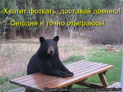 -Хватит фоткать, доставай домино! Сегодня я точно отыграюсь!... Котоматрица: -Хватит фоткать, доставай домино! Сегодня я точно отыграюсь!