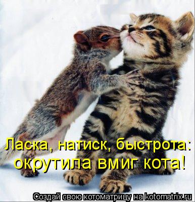 Ласка, натиск, быстрота: окрутила вмиг кота!... Котоматрица: Ласка, натиск, быстрота: окрутила вмиг кота!