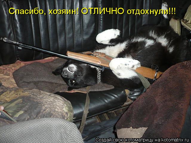 Спасибо, хозяин! ОТЛИЧНО отдохнули!!!... Котоматрица: Спасибо, хозяин! ОТЛИЧНО отдохнули!!!