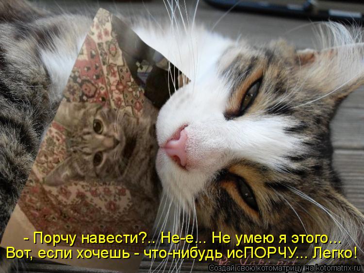 - Порчу навести?.. Не-е... Не умею я этого... Вот, если хочешь - что-нибудь исПОРЧУ... Легко!... Котоматрица: - Порчу навести?.. Не-е... Не умею я этого... Вот, если хочешь - что-нибудь исПОРЧУ... Легко!
