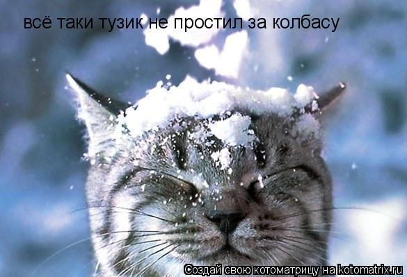 всё таки тузик не простил за колбасу... Котоматрица: всё таки тузик не простил за колбасу