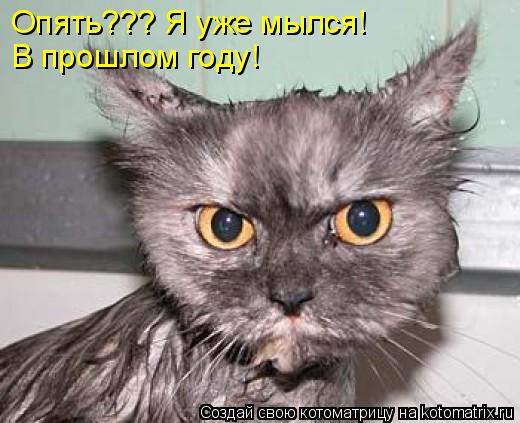 Опять??? Я уже мылся! В прошлом году!... Котоматрица: Опять??? Я уже мылся! В прошлом году!