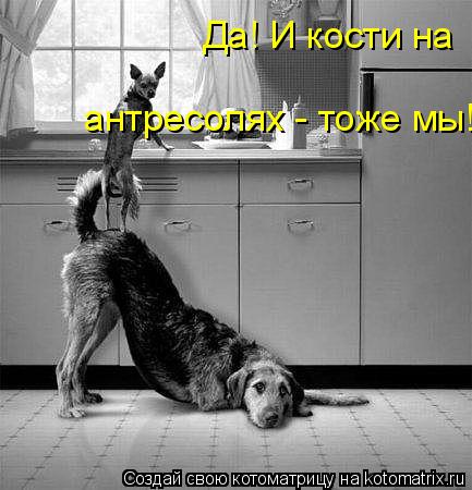 Да! И кости на антресолях - тоже мы!... Котоматрица: Да! И кости на антресолях - тоже мы!