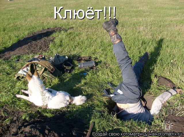 Клюёт!!!... Котоматрица: Клюёт!!!