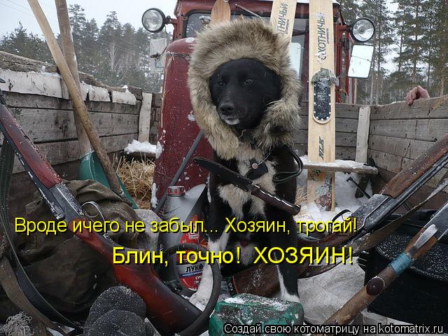 Вроде ичего не забыл... Хозяин, трогай! Блин, точно! ХОЗЯИН!... Котоматрица: Вроде ичего не забыл... Хозяин, трогай! Блин, точно! ХОЗЯИН!