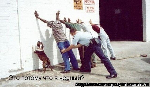 Это потому что я чёрный?... Котоматрица: Это потому что я чёрный?