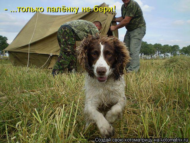 - ...только палёнку не бери!... Котоматрица: - ...только палёнку не бери!