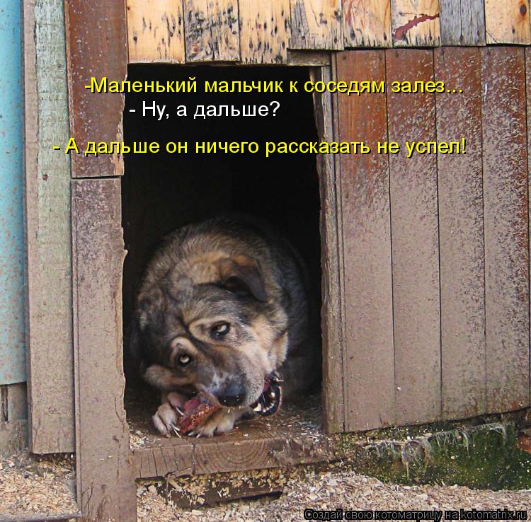 -Маленький мальчик к соседям залез... - Ну, а дальше? - А дальше он ничего рассказать не успел!... Котоматрица: -Маленький мальчик к соседям залез... - Ну, а дальше? - А дальше он ничего рассказать не успел!
