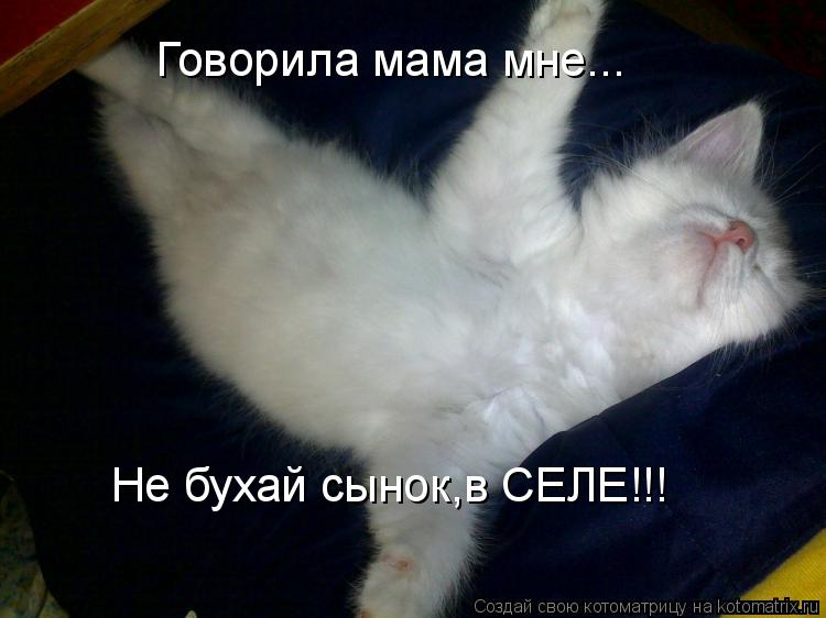 Говорила мама мне... Не бухай сынок,в СЕЛЕ!!!... Котоматрица: Говорила мама мне... Не бухай сынок,в СЕЛЕ!!!