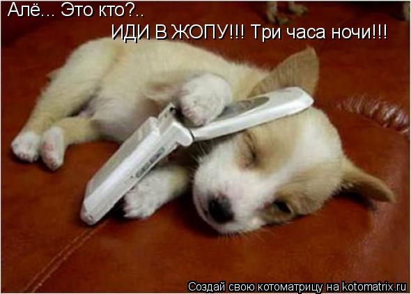 Алё... Это кто?.. ИДИ В ЖОПУ!!! Три часа ночи!!!... Котоматрица: Алё... Это кто?.. ИДИ В ЖОПУ!!! Три часа ночи!!!
