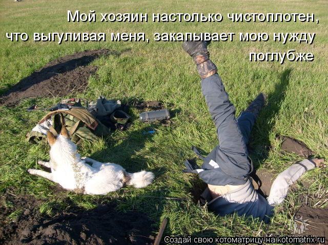 Мой хозяин настолько чистоплотен, что выгуливая меня, закапывает мою нужду поглубже... Котоматрица: Мой хозяин настолько чистоплотен, что выгуливая меня, закапывает мою нужду поглубже