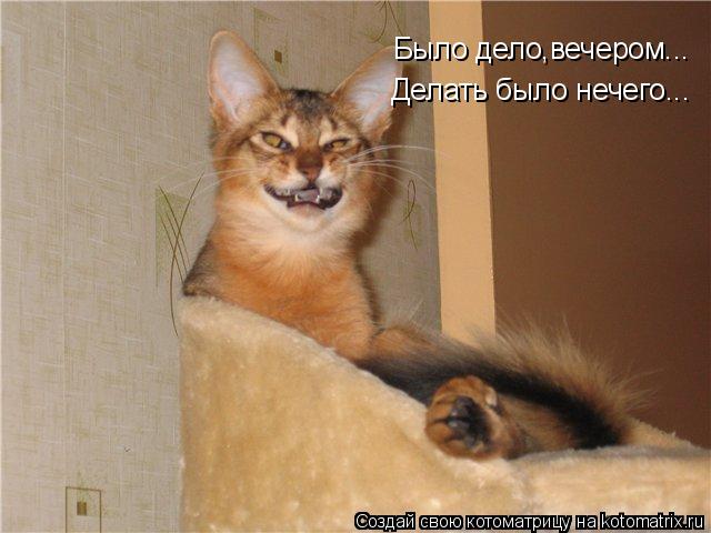 Было дело,вечером... Делать было нечего...... Котоматрица: Было дело,вечером... Делать было нечего...