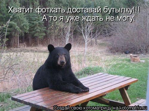 Котоматрица: Хватит фоткать,доставай бутылку!!! Хватит фоткать,доставай бутылку!!!    А то я уже ждать не могу!